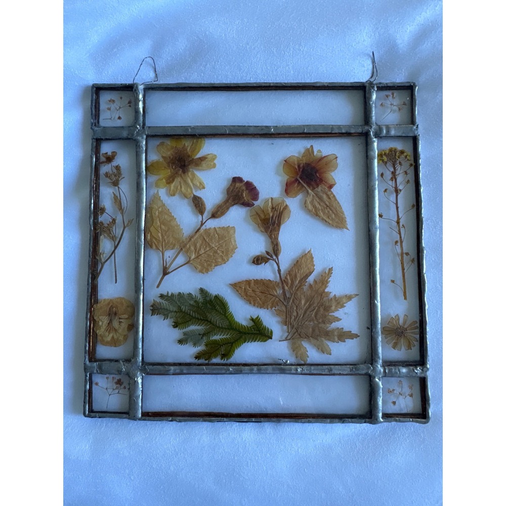 Vintage Pressed Flower Stained Glass Suncatcher Botanical Window Art 7.25x7.25